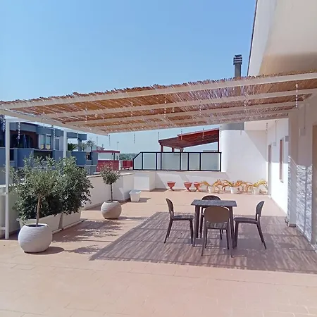 Levante تراني